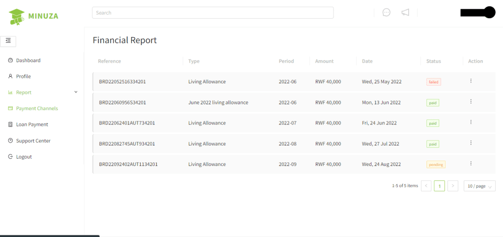 BRD MINUZA report section