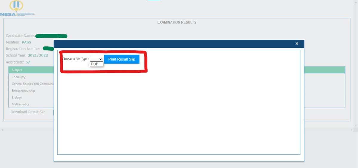 HOW TO CHECK PRIMARY AND SENIOR THREE NESA RESULTS 2024 BY USING SDMS